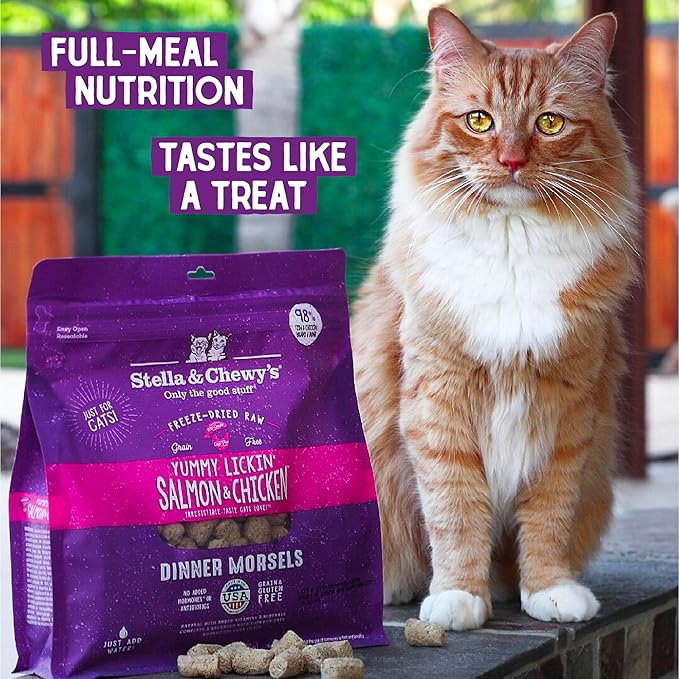 Stella & Chewy's Freeze-Dried Raw Cat Dinner Morsels – Grain Free, Protein Rich Cat & Kitten Food – Yummy Lickin’ Salmon & Chicken Recipe – 1 oz Bag