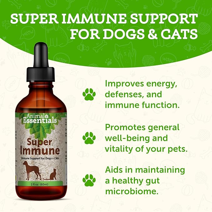 Animal Essentials Super Immune for Dogs & Cats - Immunity Support Supplement, Echinacea, Eleuthero, Olive Leaf Extract, Liquid Drops - 2 Fl Oz