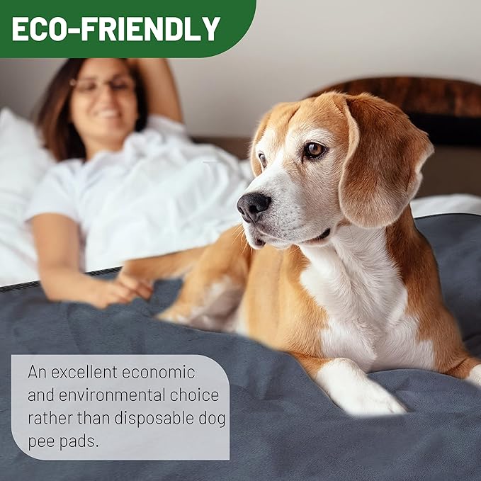 PatiencET Washable Pee Pads for Dogs, 48 x 65 Extra Large Reusable Puppy Pads