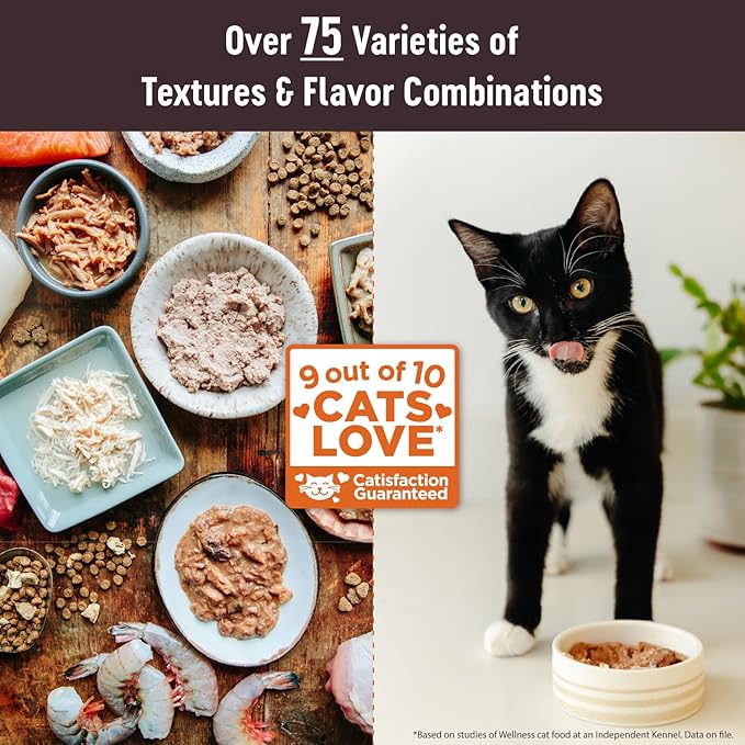 Wellness CORE Tiny Tasters Wet Cat Food, Complete & Balanced Natural Pet Food, Made with Real Meat, 1.75-Ounce Pouch, 12 Pack (Adult Cat, Chicken & Turkey Pate)