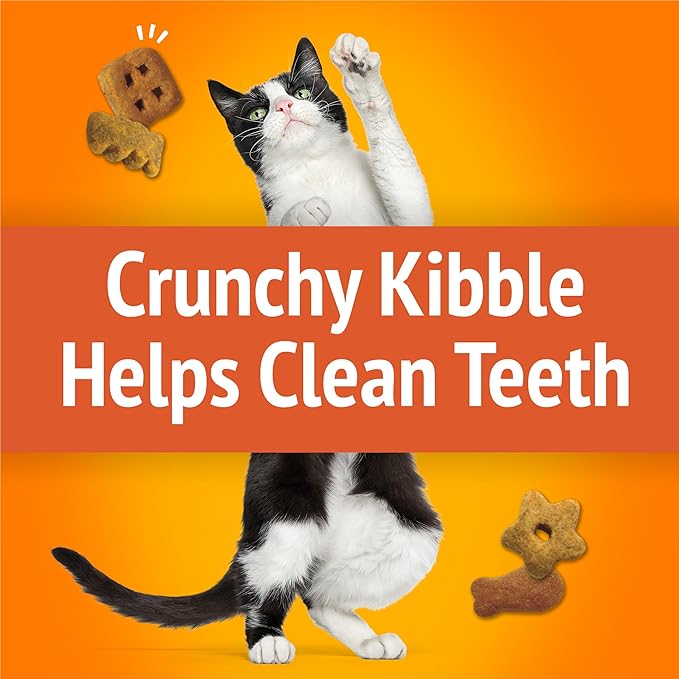 Purina Friskies Cat Treats, Party Mix Original Crunch - (Pack of 10) 2.1 oz. Pouches