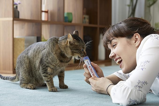 INABA Churu Chicken with Beef Recipe Natural Lickable Wet Treat for Cats (4 Tubes)