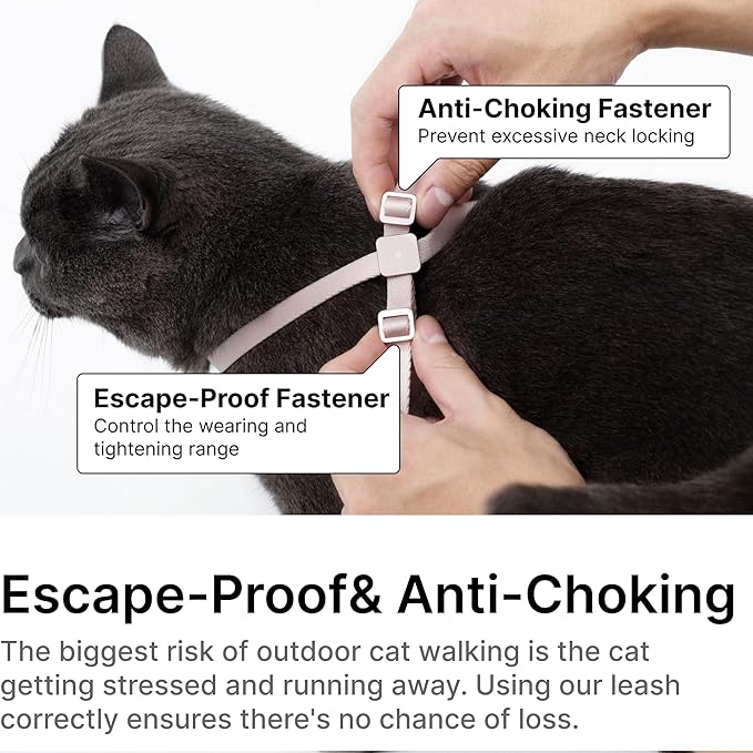 Cat Harness and Leash Set - U.S. IDA Bronze Awarding Design, Escape Proof and Anti-Chocking, for Walking and Training, Lighweight for Kitten and Small Large Cat and Puppy(Blush Pink)