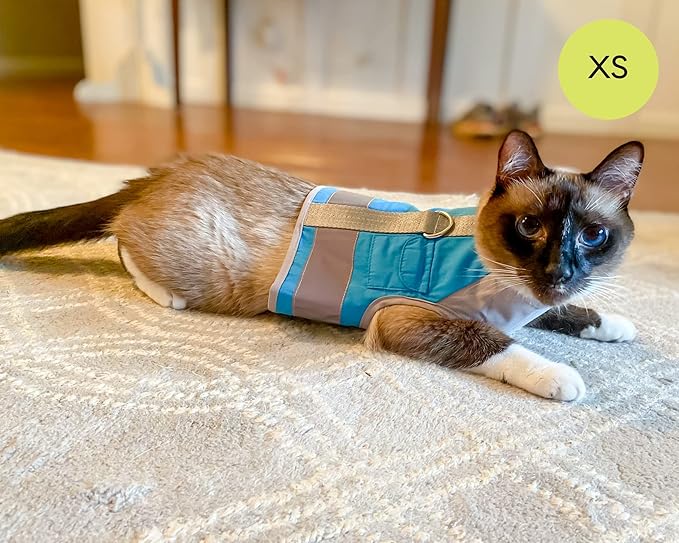 CAT SCHOOL Cat Harness and Leash Set for Outdoor Walks, Training, and Travel - Secure, Soft, Comfortable Cat Vest Harness with 10' Long Cat Leash - Easy to Use with Step-by-Step Instructions