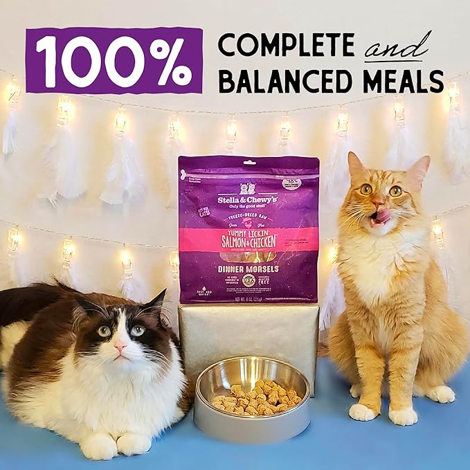 Stella & Chewy's Freeze-Dried Raw Cat Dinner Morsels – Grain Free, Protein Rich Cat & Kitten Food – Yummy Lickin’ Salmon & Chicken Recipe – 1 oz Bag