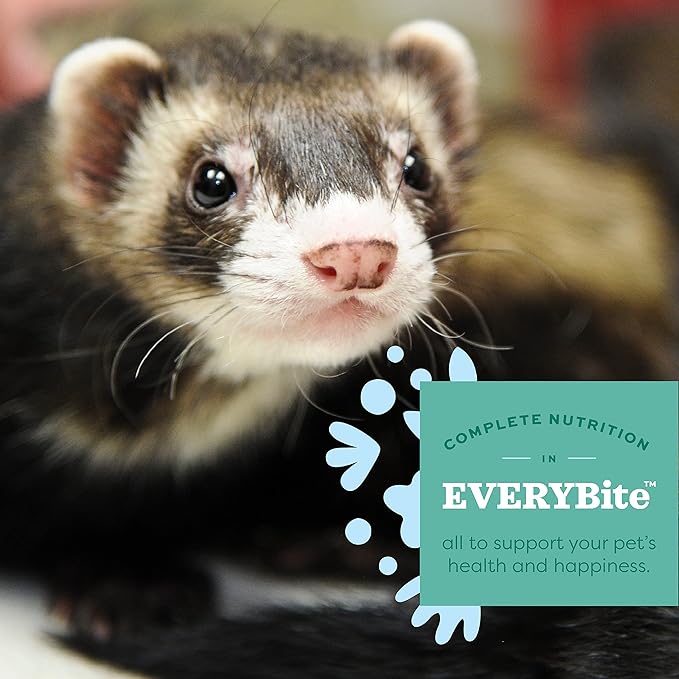 Oxbow Animal Health Essentials Ferret Food - 4 lb