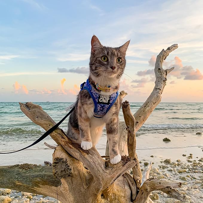 Travel Cat Harness and Leash Set - Adjustable Fit Mesh Cat Harness and Reflective Strap - Comfort Escape Proof Harness for Cats, Kitten for Outdoor Walking, Hiking (Small, Groovy)