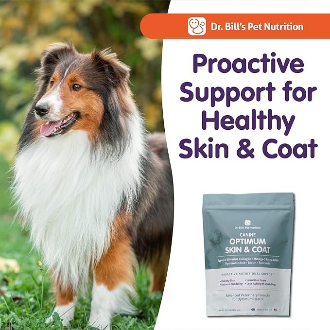 Dr. Bill’s Canine Optimum Skin & Coat (340g) – Fish Oil Omega-3 Fatty Acids Dog Supplement with Biotin, Type I & III Marine Collagen, Hyaluronic Acid & Folic Acid