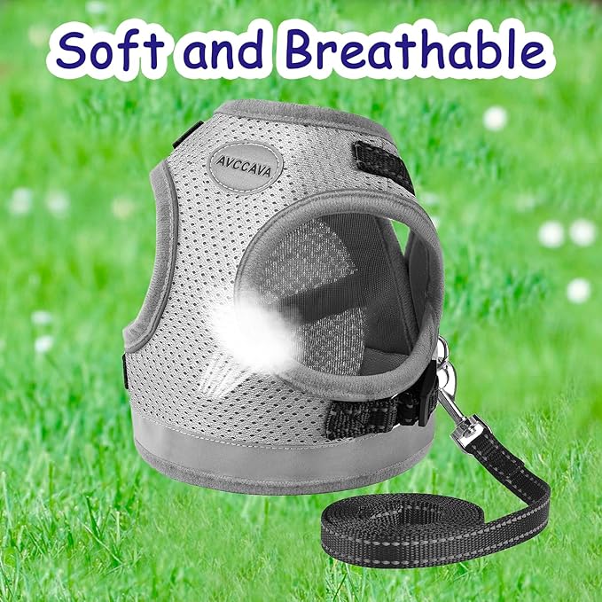 Cat Harness and Leash for Walking, Kitten Escape Proof Harnesses, Adjustable Reflective Puppy Harness with Leashes Set, Easy Adjustable Soft net Breathable Pet Safety Vest