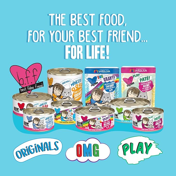 Weruva B.F.F. OMG - Best Feline Friend Oh My Gravy!, Ciao Baby! with Chicken & Shrimp in Gravy Cat Food, 2.8oz Pouch (Pack of 12)