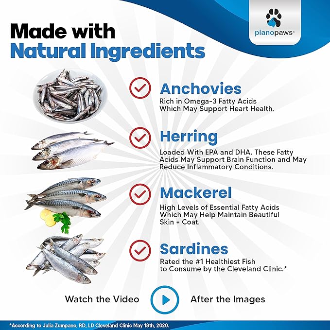 Omega 3 Fish Oil for Cats - Better Than Salmon Oil - Kitten & Cat Vitamins and Supplements - Cat Dandruff Treatment - Liquid Fish Oil for Pets - Shedding Support - Cat Health Supplies for All Ages