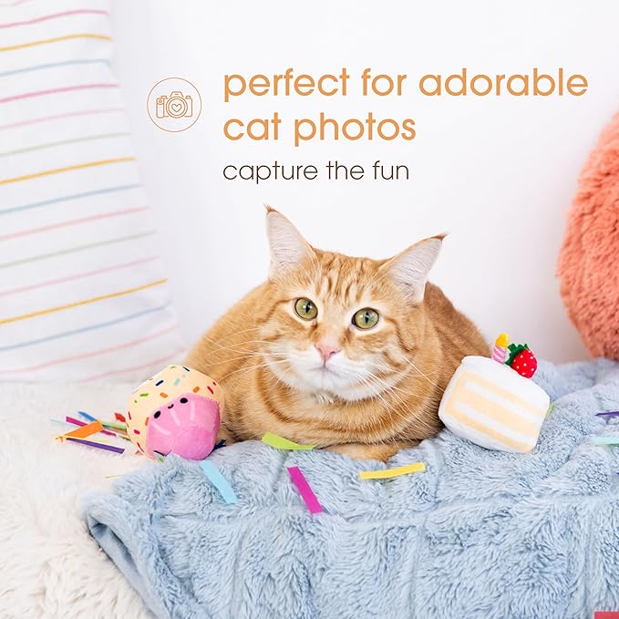 Pearhead Birthday Cake Cat Toy Set, Stuffed Birthday Cake and Cupcake Cat Toys with Catnip and Squeakers, Interactive Fun Kitten Toys, Perfect Pet Owner Birthday Gift, Ideal for Cat Lovers, Set of 2