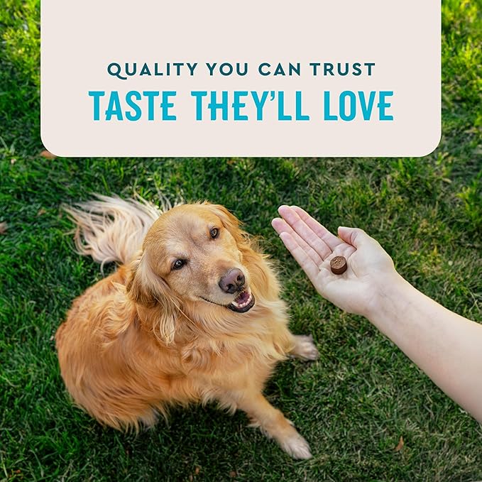 VetIQ Glucosamine Hip & Joint Supplement for Dogs, 60 Soft Chews, Dog Joint Support Supplement with MSM and Krill, Dog Health Supplies Large & Small Breed, Chicken Flavored Chewables