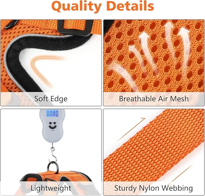 Dooradar Cat Harness and Leash Set, Escape Proof Safe Adjustable Kitten Vest Harnesses for Walking, Easy Control Soft Breathable Mesh Jacket with Reflective Strips for Cats, Orange, XXS