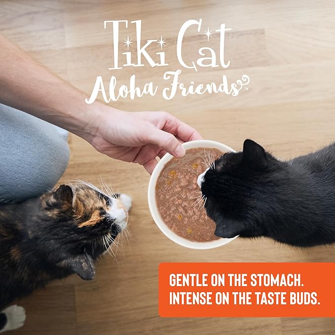 Tiki Cat Aloha Friends, Chicken & Pumpkin, Grain-Free & High Moisture, Wet Cat Food for All Life Stages 2.5 oz. Pouch (Pack of 12)