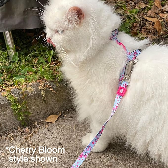 Max and Molly Adjustable Cat Harness and Leash Set - Escape-Proof Cat Harness with Leash for Outdoor Walking and Exploring - Soft Padded Material (Vintage Chevron)