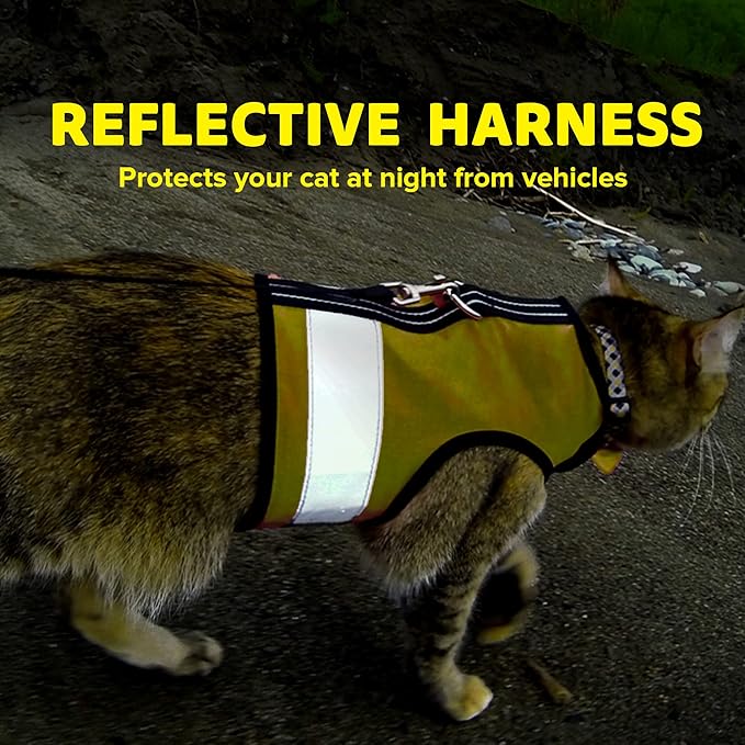 Reflective Cat Harness - High-Visibility Cat Vest for Day & Night | Secure, Breathable and Washable Cotton | Ideal for Walking & Traveling - Sunshine Yellow, M to L