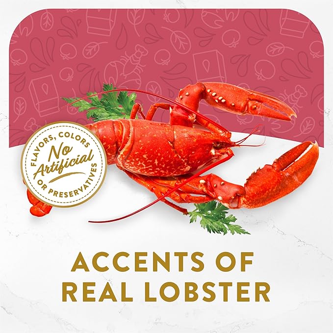 Purina Fancy Feast Lickable Wet Cat Food Broth Topper Seafood Bisque and Accents of Real Lobster - (Pack of 16) 1.4 oz. Pouches