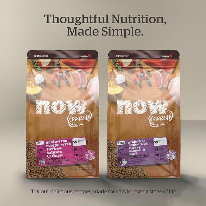 Now Fresh Grain-Free, Dry Cat Food, Turkey, Salmon and Duck Kibble, Real Meat and Fish Kitten Recipe, 3 lb Bag