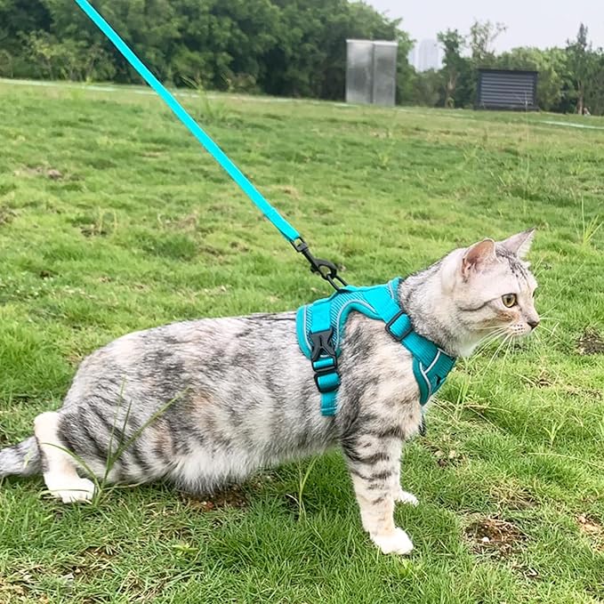 Cat Harness and Leash Set Escape Proof Tactical Small Kitten Harness Emotional Support Cat Vest, Turquoise, S