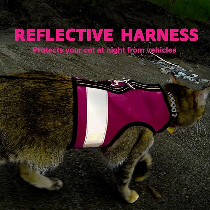 Reflective Cat Harness - High-Visibility Cat Vest for Day & Night | Secure, Breathable and Washable Cotton | Ideal for Walking & Traveling - Flamingo Pink, XS