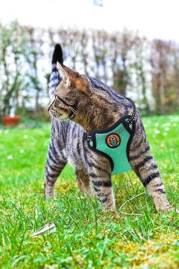 Reflective Kitten Harness and Leash Escape Proof with Car Seat Belt, Adjustable Cat Puppy Walking Jacket with Metal Leash Ring, Soft Breathable Small Pet Vest (S)