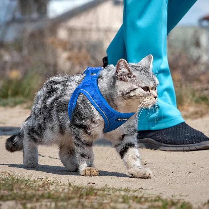 PetiFine Extra Small Step in Dog Harness and Leash Set, Cat Harness and Leash Escape Proof, All Weather Mesh Reflective, Step-in Velcro Air Vest Harnesses for Puppy(XXXS, Blue)