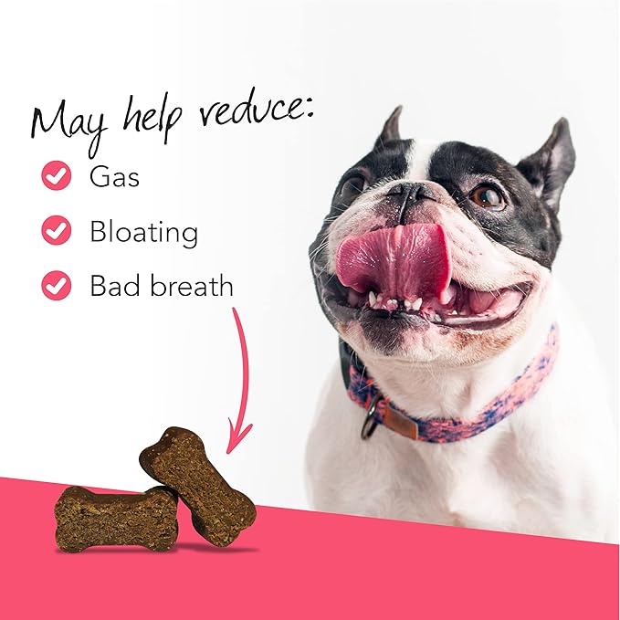 VetriScience Gut Health Chews, Probiotic Everyday Digestive Supplement for Dogs, Digestion Support, Gas & Diarrhea, Immune Support, 1 Billion CFU Per Chew, Duck, 120 Count