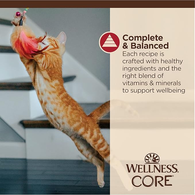 Wellness CORE Tiny Tasters Wet Cat Food, Complete & Balanced Natural Pet Food, Made with Real Meat, 1.75-Ounce Pouch, 12 Pack (Adult Cat, Minced Chicken & Beef in Gravy)