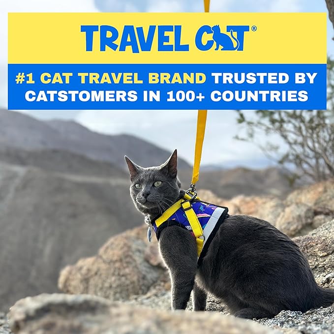 Travel Cat Harness and Leash Set - Adjustable Fit Mesh Cat Harness and Reflective Strap - Comfort Escape Proof Harness for Cats, Kitten for Outdoor Walking, Hiking (X-Small, 90s Cat)