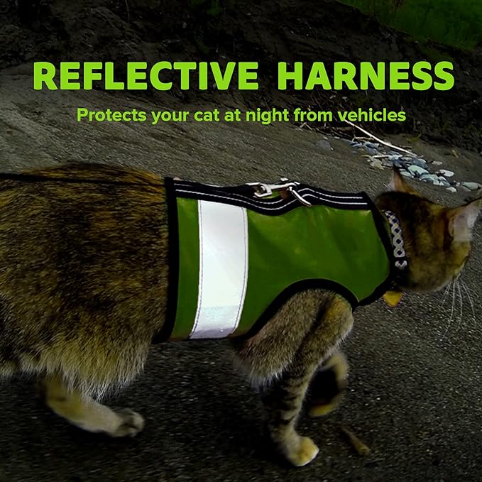 Reflective Cat Harness - High-Visibility Cat Vest for Day & Night | Secure, Breathable and Washable Cotton | Ideal for Walking & Traveling - Loud Lime, XS
