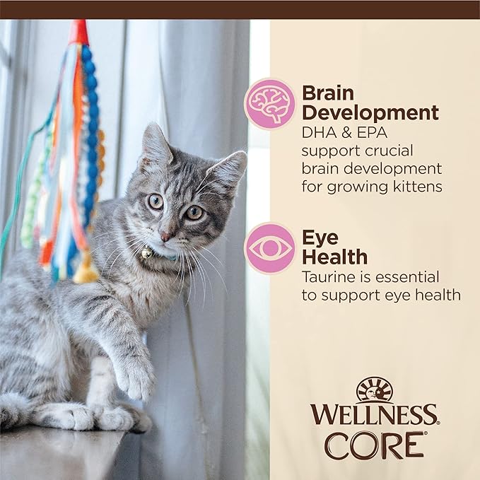 Wellness CORE Tiny Tasters Gravy Kitten Wet Cat Food, Natural, Protein-Rich, Grain Free, 1.75-Ounce Pouch, 12 Pack, (Minced Chicken)