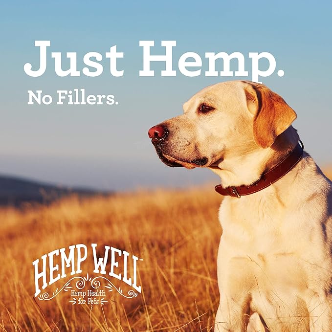 Hemp Well Thrive Oil for Dogs and Cats – Supports Hip, Joint, and Heart Health, Promotes Immune Support, Strengthens Skin and Coat, Organically Sourced – 2 Ounces