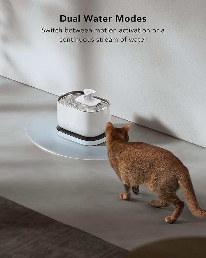 Bundle of PETLIBRO 2.5L/84oz Cat Water Fountain, Cordless Pet Water Fountain Battery Operated + PETLIBRO Replacement Filters, 4 Months Set of Filters 8 Count (Pack of 1)