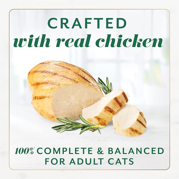 Fancy Feast Gems Cat Food Mousse With Chicken and a Halo of Savory Gravy Cat Food - (Pack of 8) 4 oz. Boxes