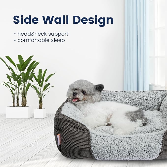 Miguel Washable Cat Beds for Indoor Cats with Removable Cushion, Easy to Wash Small Pet Sofa Bed with Side, Rectangle Bolster Kitten Bed Calming Cuddle Puppy Bed with Anti-Slip Bottom, Gray 20 Inch