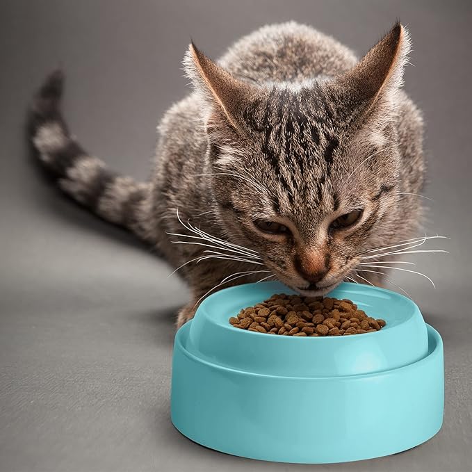 CatGuru Whisker Stress Free Cat Bowls - Wide, Non Slip, Shallow Dish for Cat Feeding & Watering (Aruba)