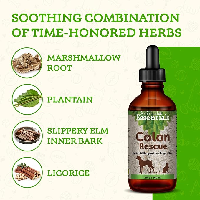 Animal Essentials Colon Rescue for Dogs & Cats - Herbal Laxative, Constipation Relief, Stool Softener with Slippery Elm, Marshmallow Root - 2 Fl Oz