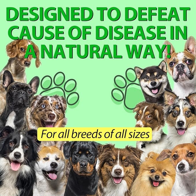 2 Pack Antibiotics for Dogs, Dog Antibiotics, Dog Supplies Antibiotics, Natural Dog Antibiotics Supports Dog Allergy and Itch Relief, Dog Multivitamin for Pets