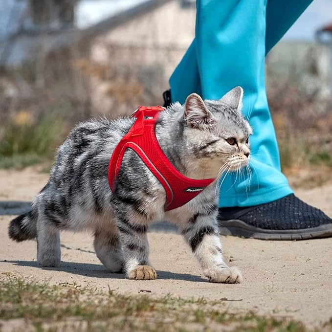 PetiFine Extra Small Step in Dog Harness and Leash Set, Cat Harness and Leash Escape Proof, All Weather Mesh Reflective, Step-in Air Vest Harnesses for Puppy(XXS, Red)