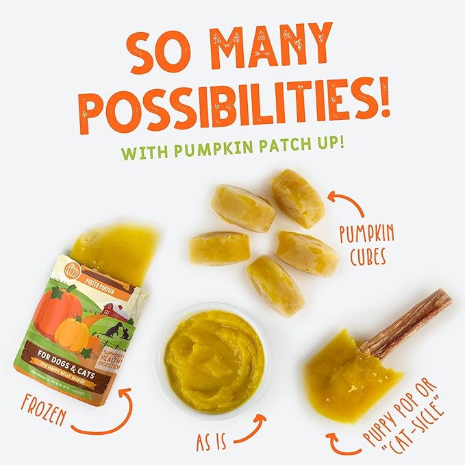 Weruva Pumpkin Patch Up! Pumpkin with Ginger & Turmeric for Dogs & Cats, 1.05oz Pouch (Pack of 12)