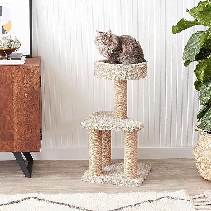 Amazon Basics Cat Tree Indoor Climbing Activity Tower with Scratching Posts, Medium, 15.7 x 31.5 Inches, Beige