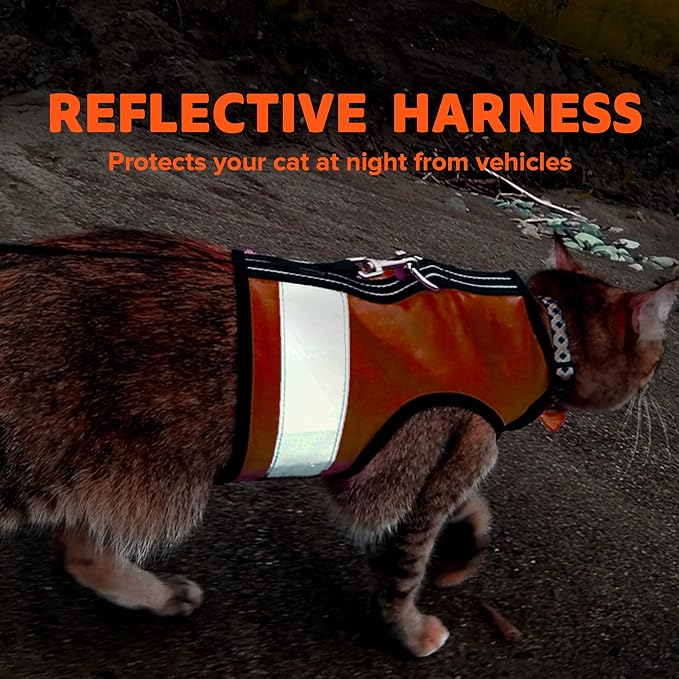 Reflective Cat Harness - High-Visibility Cat Vest for Day & Night | Secure, Breathable and Washable Cotton | Ideal for Walking & Traveling - Outrageous Orange, M to L