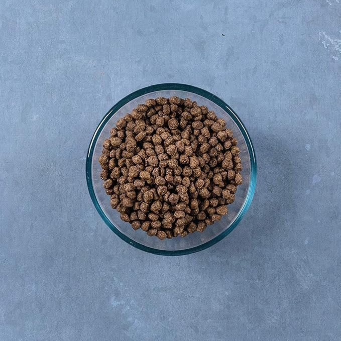 Evolve Grain Free Deboned Chicken, Pea and Vegetable Recipe Cat Food, 11lb