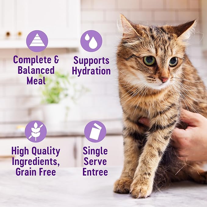 Wellness® Appetizing Entrées™ Shredded & Mousse Favorites, Poultry Variety Pack, Natural Wet Cat Food, 1.4 oz Pouch (Pack of 8)