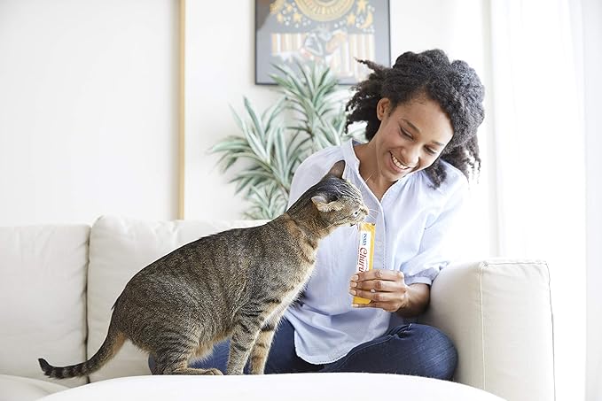 INABA Churu Chicken with Beef Recipe Natural Lickable Wet Treat for Cats (4 Tubes)