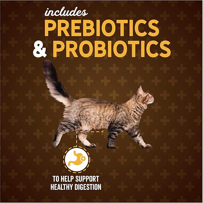Evolve Classic Deboned Salmon, Brown Rice and Sweet Potato Recipe Cat Food, 14lb