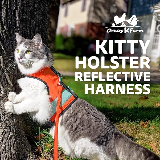 Reflective Cat Harness - High-Visibility Cat Vest for Day & Night | Secure, Breathable and Washable Cotton | Ideal for Walking & Traveling - Outrageous Orange, XL