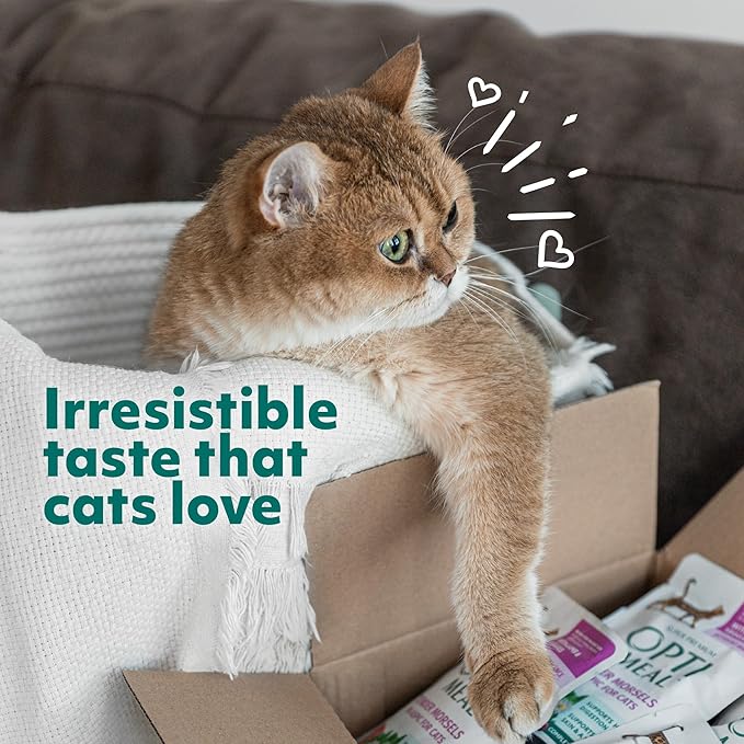 OPtimeal Grain Free Cat Food - Proudly Ukrainian - Healthy Cat Food Dry Recipe for Gut Health, Tasty Dry Cat Food with Immunity Support for Adult Cats (8.8 lbs, Chicken & Veggies)