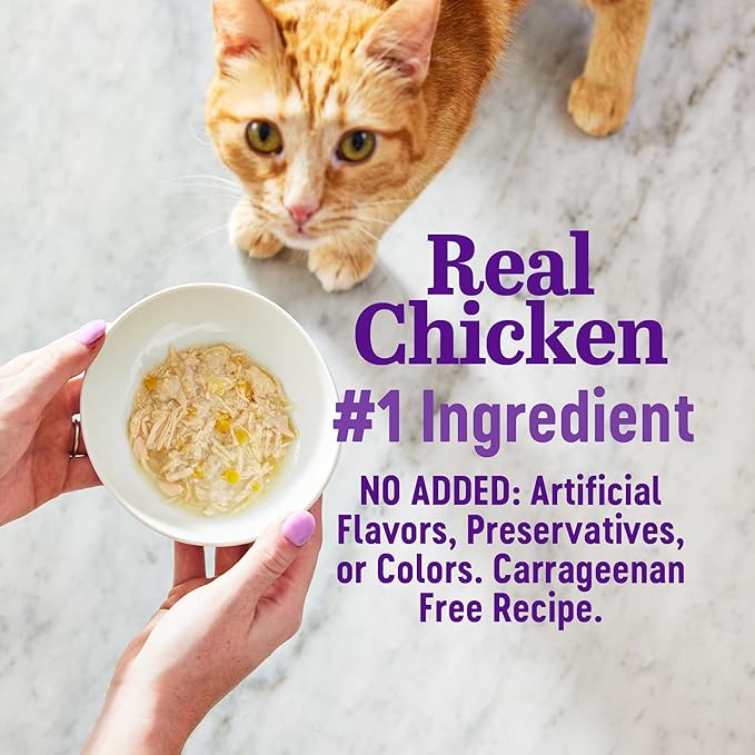 Wellness® Appetizing Entrées™ Mousse Chicken & Turkey Recipe Infused with Broth Natural Wet Cat Food, 1.4 oz Pouch (Pack of 8)